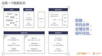 独家解码 1207亿元背后的阿里数据生态与数据处理服务全景