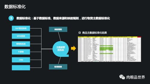 集团数据管控与数据治理解决方案 数据处理服务的核心价值与实施路径